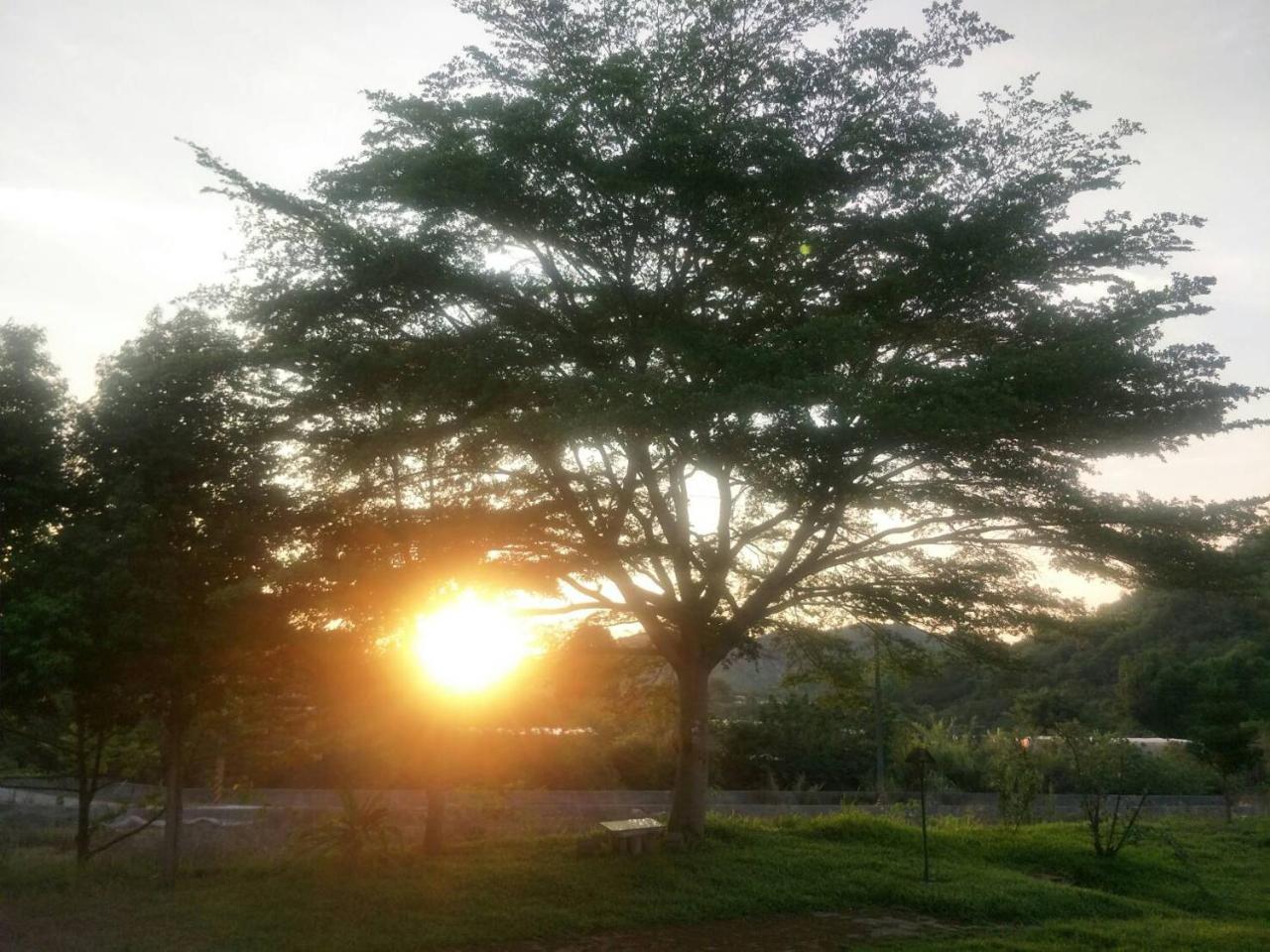 556 Homestay Danei Bagian luar foto